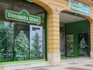 Sinsemilla Street