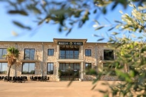 Bodegas Vi Rei: tour in treno dei vigneti con degustazione di vini