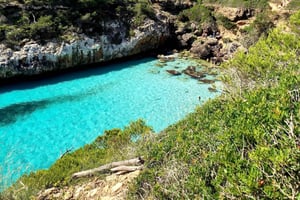 Cala des Moro/S'Almunia: Snorkling och SUP-tur