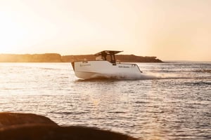 Familjetur med elektrisk båt