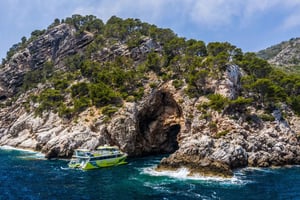 カラ・ラトハダ発：東海岸のグラスボトムボートツアー