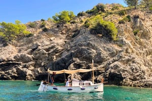 Майорка: Алькудия, частная экскурсия на лодке в Форментор и Полленсу