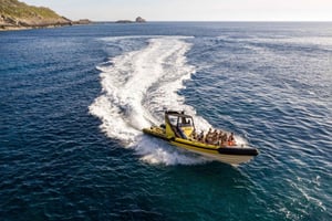 マヨルカ島：ブレードランナー ジェット ボート ツアー