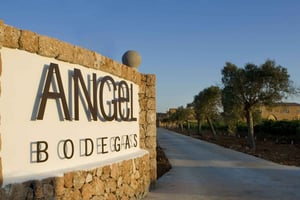 Majorka: zwiedzanie winnicy Bodegas Ángel z degustacją win