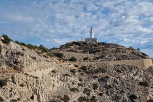 Maiorca: Cap & Cava - Tour in minibus a Formentor - TEDESCO