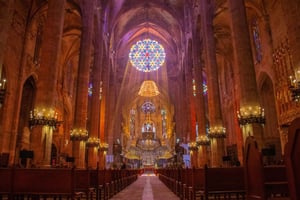 Mallorca: Tour de la Catedral, vistas al Castillo de Bellver y ensaïmada