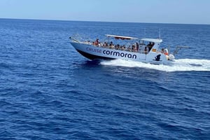 Mallorca: paseo en barco por cuevas, acantilados y calas