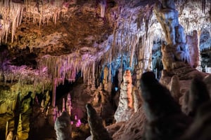 Mallorca: Dagstur til grottene i Hams og Dinosaurland (valgfritt)