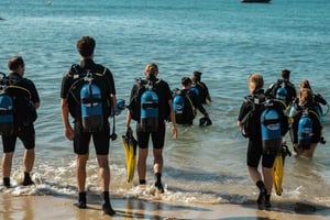 Mallorca: Entdecken Sie das Tauchen vom Strand aus