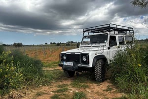 Maiorca: excursão exclusiva com pequeno-almoço, degustação de vinhos e paella