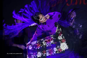Mallorca: Espectáculo de flamenco en el Tablao Flamenco Alma con paella