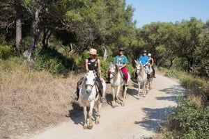 Mallorca: Horseback Riding Excursion and Wine Tasting