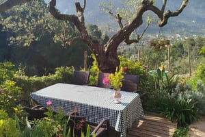 Mallorca: Paella Cooking Class in the Tramuntana Mountains