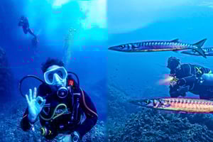 Maiorca: Aventura de mergulho em Cap Formentor 2 locais de mergulho (apenas com licença)