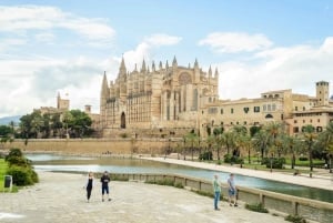 Palma: Kathedraal van Mallorca voorrangsticket entree