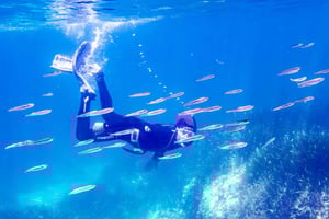 Mallorca: excursión de snorkel con instructor desde el barco - Cap de Formentor