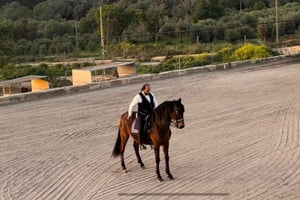 Mallorca: Sunset excursion, horse show, and falconry.