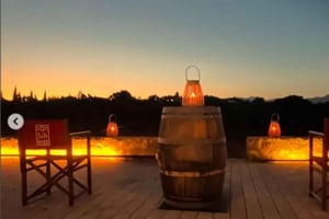 Majorque : dégustation de vins au coucher du soleil, visite des bodegas en minibus