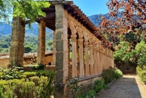 Mallorca: Tramuntana Mountains Tour with Local Guide & Lunch