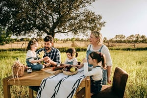 Посещение оливкового завода и мельницы с дегустацией