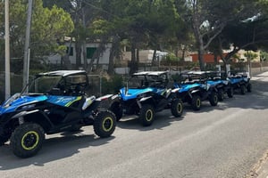 Paguera: 2-timers tur med buggy