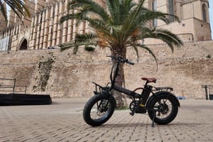 Palma: Exclusive City Highlights E-Bike Tour