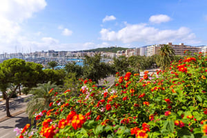 Palma: Caminhada expressa com um morador local em 60 minutos