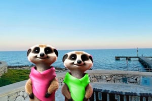 Palma: Las criaturas mágicas de Palma, emocionante juego familiar