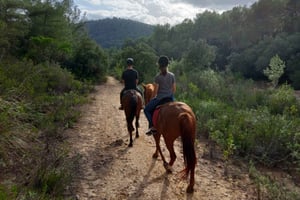 Mallorca: Mallorcan Sunset Horseback Ride with Drinks