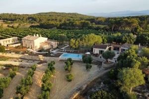 Treurer: Ночь оливкового масла. Гастрономический опыт