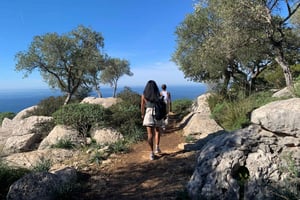 Z Palmy: Wycieczka do Valldemossa i wędrówka do punktu widokowego w górach