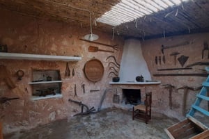 Долина Сольер, Форналукс: экскурсия по оливковой роще, дегустация оливкового масла и местных продуктов