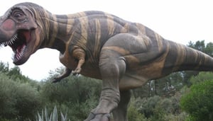 Valley of the Dinosaurs