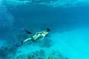 Comino: Lagoa Azul, Lagoa Cristalina e Passeio de Barco pelas Cavernas Marinhas
