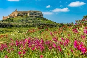De Excursão de 1 dia a Gozo com guia de turismo, templos e comboio