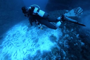 Malta: 2 Scuba Fun-dykk for sertifiserte dykkere