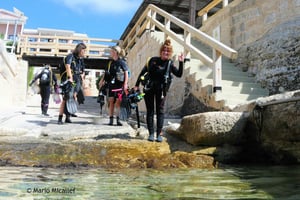 Malta: Oppdag dykking 2 dykk med skipsvrakdykk