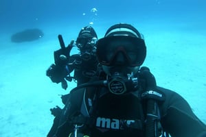 Мальта: 1-дневный курс дайвинга в бухте Св. Павла