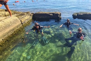 Malta St Pauls Bay: PADI Discover Scuba Diving Experience