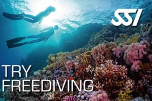 Malta: Try Freediving SSI – chrzest freedivingu z instruktorem mówiącym po francusku