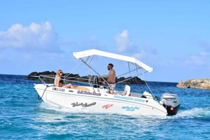 Меллиха: Частная лодка на 5 человек на Комино и в Голубую Лагуну