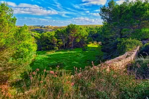 Частная пешеходная экскурсия по природным достопримечательностям с транспортом