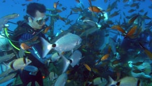 NDS New Dimension Scuba