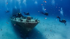 OrangeShark Centrum Nurkowe