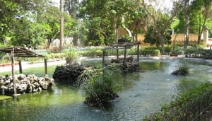 San Anton Gardens