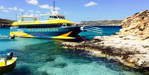 Sea Adventure Excursions