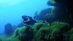 Watercolours Dive Centre