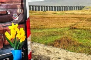 Desde Manchester: Excursión de un día por Yorkshire