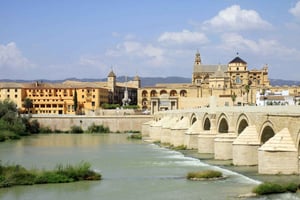 From Costa del Sol & Malaga: Cordoba Guided Day Tour