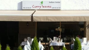 Curry Leaves